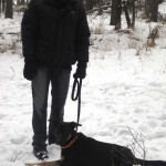 hw300003-150x150 Tierheim-Hundewanderung 2013