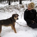 hw300004-150x150 Tierheim-Hundewanderung 2013