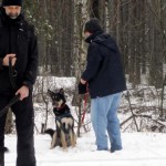 hw300006-150x150 Tierheim-Hundewanderung 2013