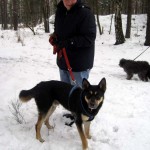 hw300007-150x150 Tierheim-Hundewanderung 2013