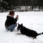 hw300009-150x150 Tierheim-Hundewanderung 2013