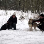 hw300012-150x150 Tierheim-Hundewanderung 2013