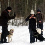 hw300013-150x150 Tierheim-Hundewanderung 2013