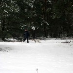 hw300016-150x150 Tierheim-Hundewanderung 2013