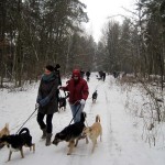 hw300020-150x150 Tierheim-Hundewanderung 2013