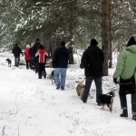 hw300022-150x150 Tierheim-Hundewanderung 2013