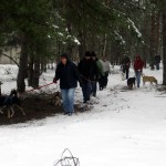 hw300023-150x150 Tierheim-Hundewanderung 2013