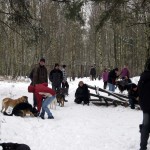 hw300025-150x150 Tierheim-Hundewanderung 2013