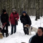 hw300026-150x150 Tierheim-Hundewanderung 2013