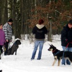 hw300030-150x150 Tierheim-Hundewanderung 2013
