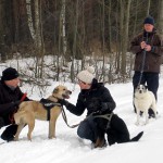 hw300031-150x150 Tierheim-Hundewanderung 2013