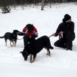 hw300032-150x150 Tierheim-Hundewanderung 2013