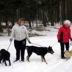 hw300033-150x150 Tierheim-Hundewanderung 2013
