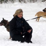 hw300036-150x150 Tierheim-Hundewanderung 2013