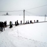 hw300037-150x150 Tierheim-Hundewanderung 2013