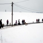 hw300038-150x150 Tierheim-Hundewanderung 2013