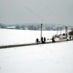 hw300039-150x150 Tierheim-Hundewanderung 2013