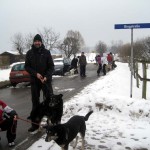 hw300040-150x150 Tierheim-Hundewanderung 2013
