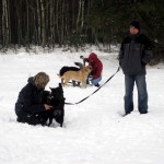 hw300041-150x150 Tierheim-Hundewanderung 2013