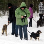 hw300042-150x150 Tierheim-Hundewanderung 2013