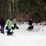 hw300043-150x150 Tierheim-Hundewanderung 2013