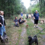 hw400001-150x150 2. Tierheim-Hundewanderung 2013