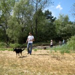 hw400003-150x150 2. Tierheim-Hundewanderung 2013