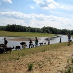 hw400004-150x150 2. Tierheim-Hundewanderung 2013