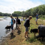 hw400006-150x150 2. Tierheim-Hundewanderung 2013