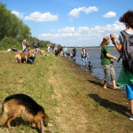 hw400007-150x150 2. Tierheim-Hundewanderung 2013