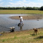 hw400010-150x150 2. Tierheim-Hundewanderung 2013