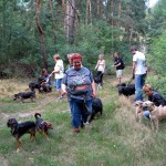 hw400012-150x150 2. Tierheim-Hundewanderung 2013