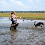 hw400014-150x150 2. Tierheim-Hundewanderung 2013