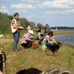 hw400016-150x150 2. Tierheim-Hundewanderung 2013