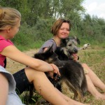 hw400018-150x150 2. Tierheim-Hundewanderung 2013