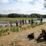 hw400019-150x150 2. Tierheim-Hundewanderung 2013