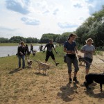 hw400020-150x150 2. Tierheim-Hundewanderung 2013