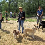 hw400022-150x150 2. Tierheim-Hundewanderung 2013