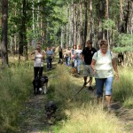hw400023-150x150 2. Tierheim-Hundewanderung 2013