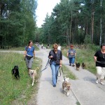 hw400025-150x150 2. Tierheim-Hundewanderung 2013