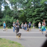 hw400027-150x150 2. Tierheim-Hundewanderung 2013