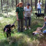 hw400028-150x150 2. Tierheim-Hundewanderung 2013