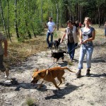 hw400029-150x150 2. Tierheim-Hundewanderung 2013