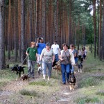 hw400030-150x150 2. Tierheim-Hundewanderung 2013