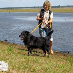 hw400034-150x150 2. Tierheim-Hundewanderung 2013