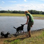 hw400036-150x150 2. Tierheim-Hundewanderung 2013