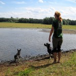 hw400037-150x150 2. Tierheim-Hundewanderung 2013