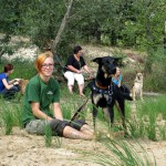 hw400041-150x150 2. Tierheim-Hundewanderung 2013