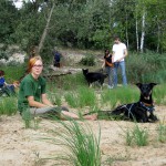 hw400042-150x150 2. Tierheim-Hundewanderung 2013
