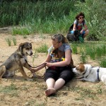 hw400044-150x150 2. Tierheim-Hundewanderung 2013